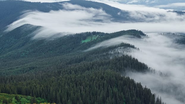 Fog covered hills. Majestic Carpathian Mountains. Beautiful landscape of untouched nature.