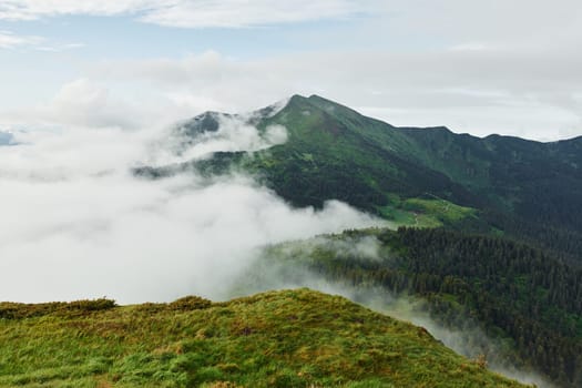 Fog covered hills. Majestic Carpathian Mountains. Beautiful landscape of untouched nature.
