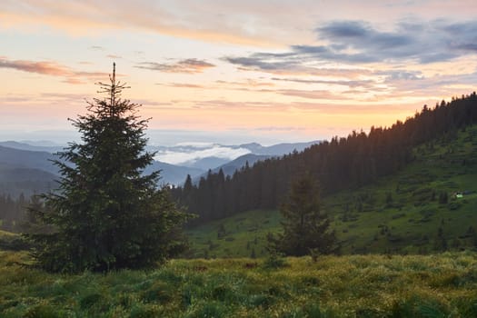 Majestic Carpathian Mountains. Beautiful landscape of untouched nature.