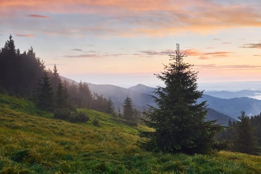 Majestic Carpathian Mountains. Beautiful landscape of untouched nature.