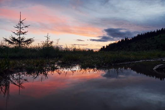 Majestic Carpathian Mountains. Beautiful landscape of untouched nature.