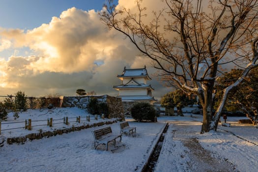 Sunrise light on clouds and historic Japanese castle in snow covered park. High quality photo