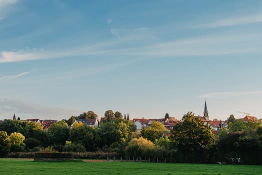 Views of the cathedral and castle in the old town of Frieberg am Neckar, Baden-Wurtemberg, Germany. ancient european town sky field