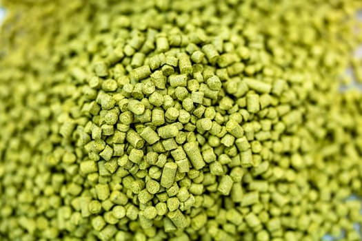 granulated hops for beer production. brewing beer in a brewery.