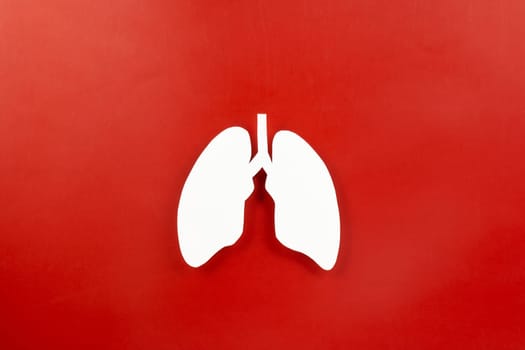 World tuberculosis day. Top view Lungs paper decorative symbol on red background, copy space, concept of world TB day, no tobacco, Medical and healthcare, lung cancer awareness, 24 March