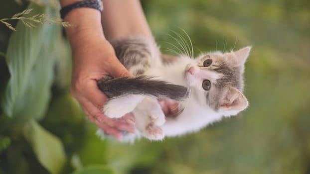 A woman holds a shivering kitten outside