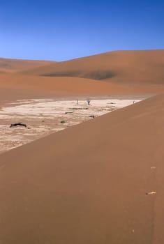 Africa, Namibia, Hardap, Namib Naukluft Park, Deadvlei