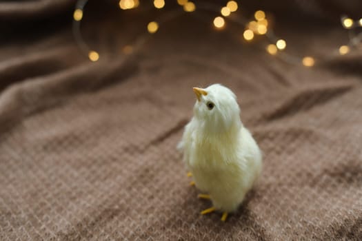 cute decorative Easter chicken on abstract blurred white background. festive composition for Easter holiday, spring season. template for design. copy space.