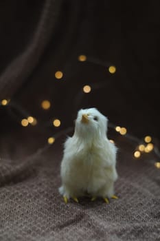 cute decorative Easter chicken on abstract blurred white background. festive composition for Easter holiday, spring season. template for design. copy space.