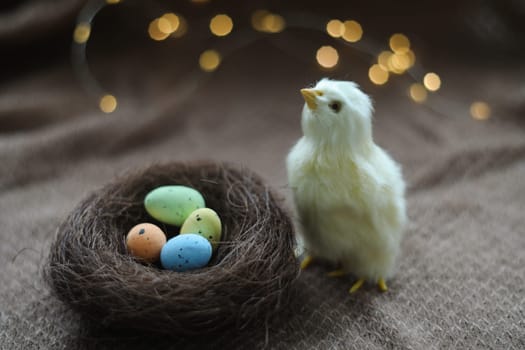 cute decorative Easter chicken on abstract blurred white background. festive composition for Easter holiday, spring season. template for design. copy space.