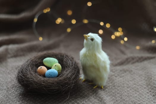 cute decorative Easter chicken on abstract blurred white background. festive composition for Easter holiday, spring season. template for design. copy space.