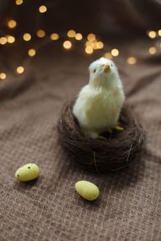 cute decorative Easter chicken on abstract blurred white background. festive composition for Easter holiday, spring season. template for design. copy space.