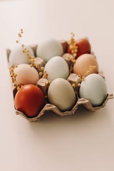 fresh chicken eggs of natural shades and colors in a recycled box on a white background.