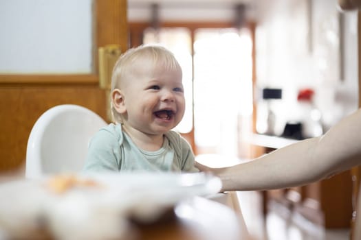 Adorable cheerful happy infant baby boy child smiling while sitting in high chair at the dining table in kitchen at home beeing spoon fed by his mother.