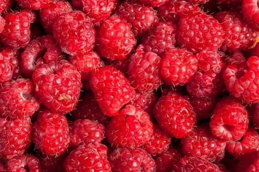 Red raspberries in close up photo. Raw fruits. healthy lifestyle