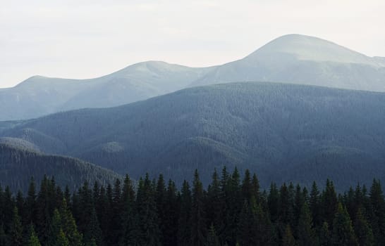 Majestic Carpathian Mountains. Beautiful landscape of untouched nature.