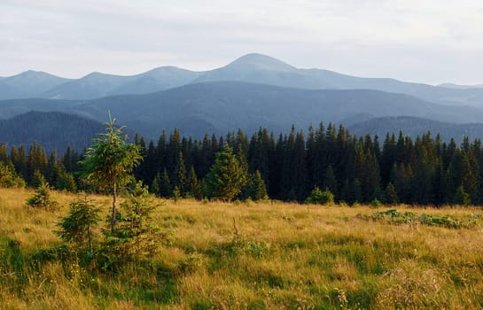 Majestic Carpathian Mountains. Beautiful landscape of untouched nature.