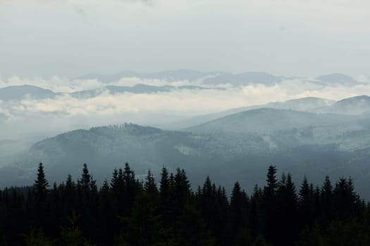 Majestic Carpathian Mountains. Beautiful landscape of untouched nature.