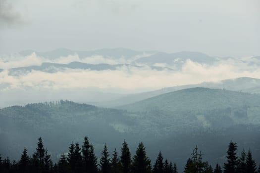 Majestic Carpathian Mountains. Beautiful landscape of untouched nature.