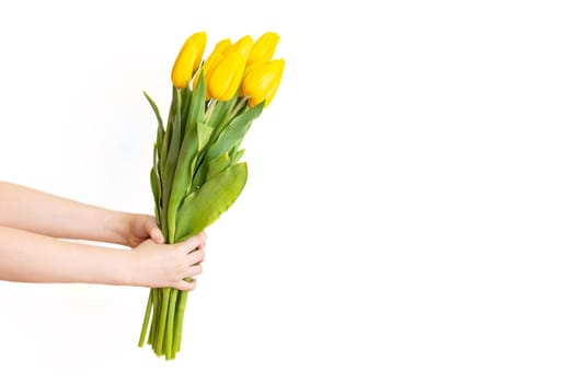 Childrens hands hold a bouquet of yellow tulips on a white background, isolated. Copy space.