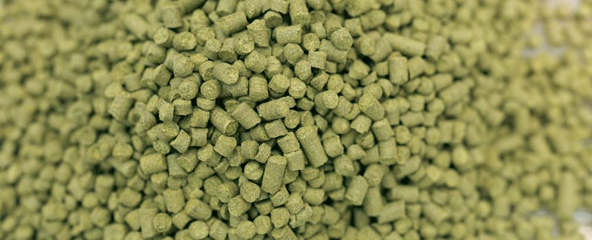 granulated hops for beer production. brewing beer in a brewery.