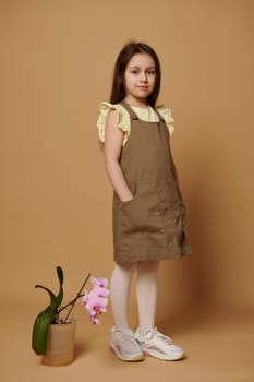 Full length portrait of a lovely child 5-6 years old, cute little girl in a khaki dress, looking at camera, standing next to a blooming orchid, isolated on beige background. Horticulture. Gardening