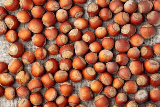 Hazelnut nuts on a linen napkin. Bulk Hazelnut kernel.