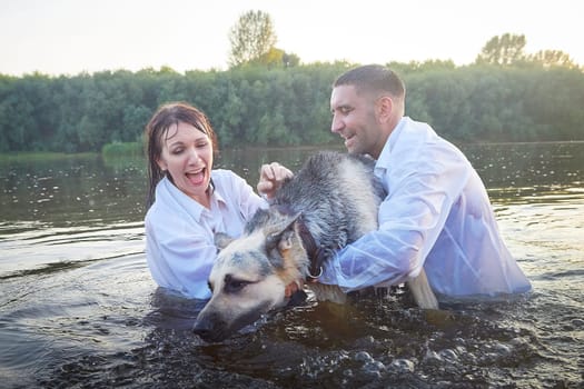 Beautiful adult couple has fun with bug dog shephers on nature in water of river or lake in summer evening at sunset. Guy and girl swim and relax with pet outdoors in clothes in white shirts and jeans