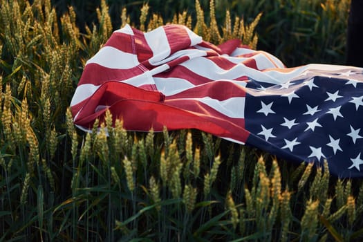 Close up view of USA flag that lying down on the agricultural field. Conception of freedom.
