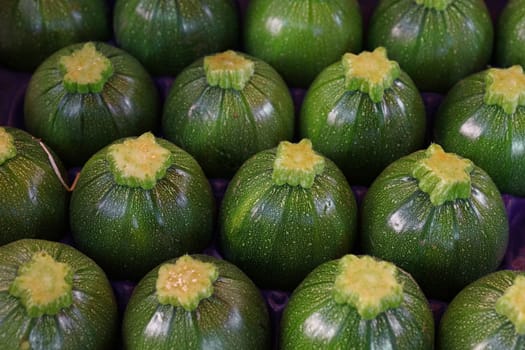 Close up fresh new green baby round zucchini in a row in box on retail display of farmers market, high angle view