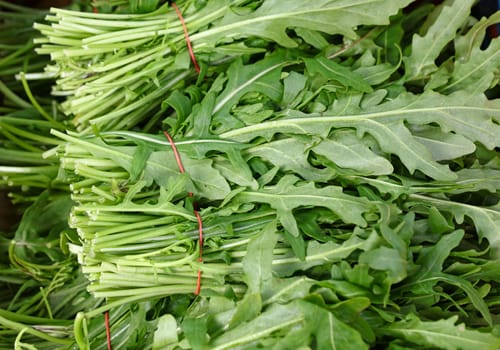 Heap of fresh green spring arugula or rocket salad on farmers market display, close up, high angle view