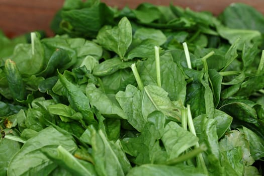 Heap of fresh green spring spinach on farmers market display, close up, high angle view