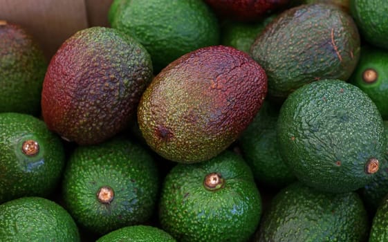 Close up many fresh ripe ready to eat green and purple avocado at retail display of farmer market, high angle view