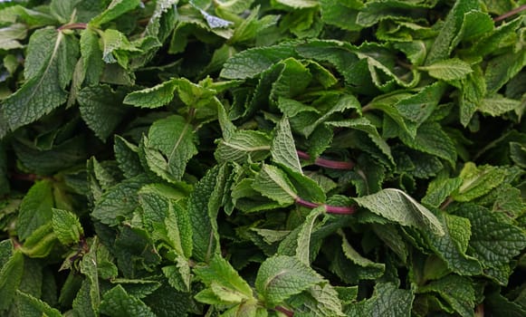 Heap of fresh green mint herb on farmers market display, close up, high angle view