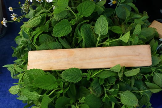 Heap of fresh green mint herb with natural wooden price tag sign on farmers market display, close up, high angle view