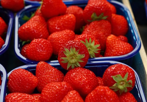 Close up fresh red ripe strawberry berries in plastic container boxes on retail display of farmers market, high angle view