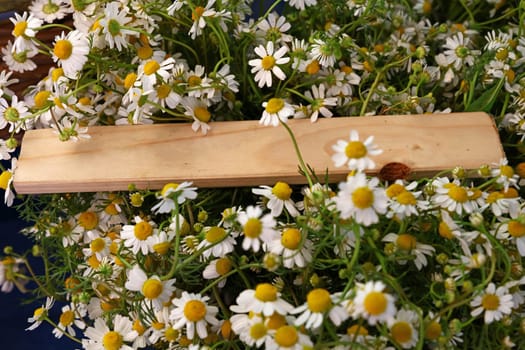 Heap of fresh chamomile flowers with wooden sign on farmers market display, close up, high angle view