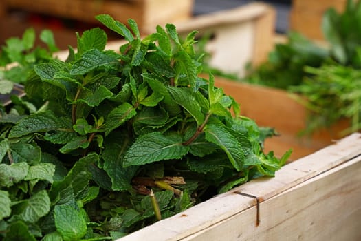 Heap of fresh green mint herb in wooden box on farmers market display, close up, high angle view
