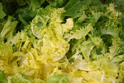 Heap of fresh green lettuce salad on farmers market display, close up, high angle view