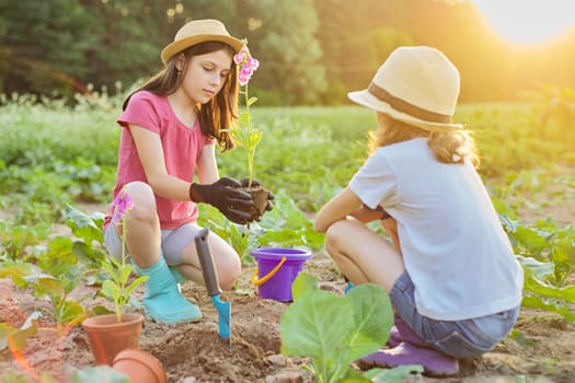 Children girls planting flowering pot plant in ground. Little beautiful gardeners in gloves with garden shovels, background spring summer rural landscape, golden hour