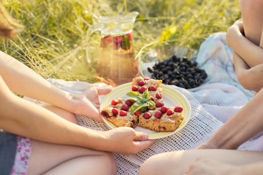 Summer picnic on sunny meadow, children sitting on grass eating homemade cake with berries, drinking mint strawberry drink