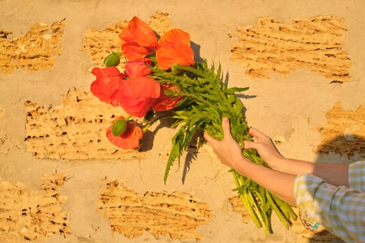 Bouquet of red poppies flowers in female hand, background golden yellow brick sunny wall