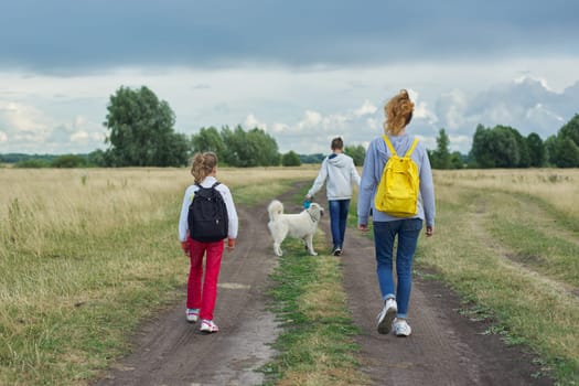 Active healthy lifestyle, children outdoors with dog, family boy and girls walking along country road, back view