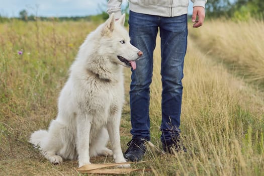 Boy walking a dog on cloudy day, white husky with male in nature.