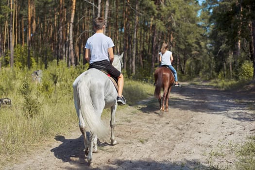 Group of teenagers on horseback riding in summer park, back view