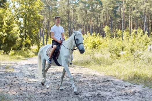 Horse walks, teenager boy riding white horse in summer forest.