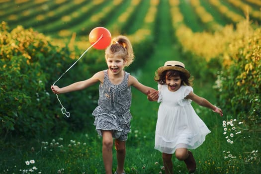 Two little girls with red balloon running together on the field at summer daytime.