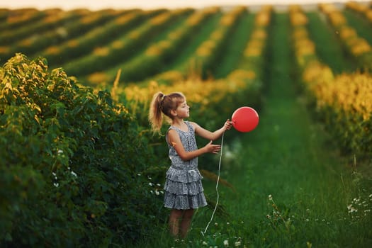 Positive little girl with red balloon in hands have fun on the field at summer day time.