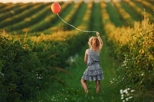 Positive little girl with red balloon in hands have fun on the field at summer day time.