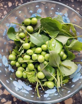 Young green peas with lettuce in a plate close-up. Peas with lettuce.